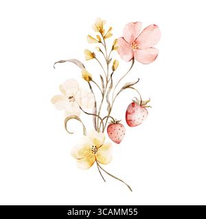 Blumenstrauß in Aquarellfarben mit wilden Erdbeeren und Wiesenblumen. Handgezeichnete Illustration in Pastellbeige, Gelb, Rosa. Isolierte Kräuter Stockfoto