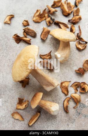 Frische Penny Brötchen Pilze liegen auf einem Tisch mit getrockneten Scheiben, bereit zum Kochen Stockfoto