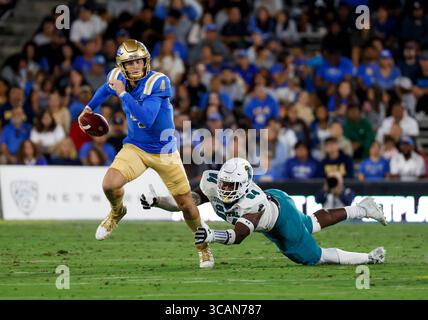 2. September 2023 UCLA Bruins Quarterback Ethan Garbers (4) kämpft mit dem Ball während des NCAA-Fußballspiels zwischen den Coastal Carolina Chanticleers und den UCLA Bruins im Rose Bowl in Pasadena, Kalifornien. Obligatorischer Bildnachweis: Charles Baus/CSM (Bildnachweis: © Charles Baus/CSM via ZUMA Press Wire) Stockfoto