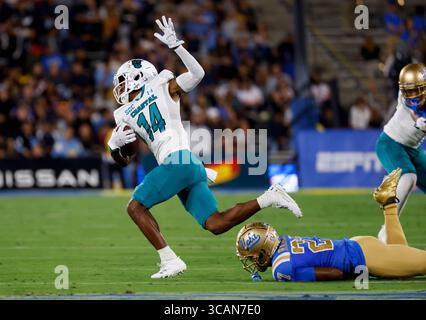 2. September 2023 Coastal Carolina Chanticleers Wide Receiver Jared Brown (14) macht einen Fang während des NCAA-Fußballspiels zwischen den Coastal Carolina Chanticleers und den UCLA Bruins im Rose Bowl in Pasadena, Kalifornien. Obligatorischer Fotoausweis : Charles Baus/CSM (Kreditausweis: Stockfoto