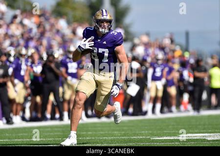 2. September 2023: Washington Huskies Tight End Jack Westover (37) hebt nach dem Fang während des NCAA-Fußballspiels zwischen den Boise State Broncos und Washington Huskies im Husky Stadium in Seattle, WA, zusätzliche Yards auf. Washington besiegte Boise State mit 56:19. Steve Faber/CSM (Foto: © Steve Faber/CSM via ZUMA Press Wire) Stockfoto