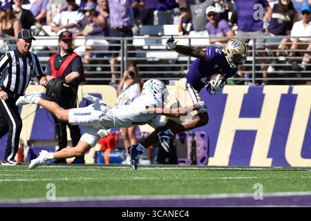 2. September 2023: Washington Huskies Wide Receiver Ja'Lynn Polk (2) holt einige Meter nach dem Fang während des NCAA-Fußballspiels zwischen den Boise State Broncos und Washington Huskies im Husky Stadium in Seattle, WA. Washington besiegte Boise State mit 56:19. Steve Faber/CSM (Foto: © Steve Faber/CSM via ZUMA Press Wire) Stockfoto