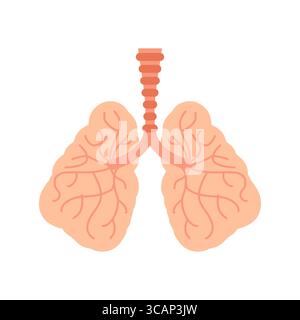 Gesunde menschliche Lunge mit detaillierten Bronchien. Pädagogisches medizinisches Bild geeignet für Themen der Gesundheit, Biologie und des Atmungssystems. Stock Vektor