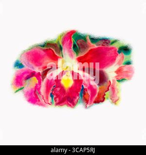 Malerei Kunst Aquarell rosa Farbe der Orchideenblume mit Postkarte, Glückwunsch in weißem Hintergrund Stockfoto