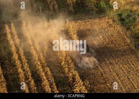 Ein Bauer fährt einen roten Traktor bei der Ernte durch ein staubiges Maisfeld Stockfoto