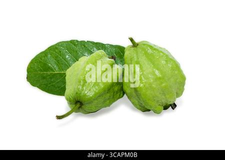 Frische guave Obst auf weißem Hintergrund Stockfoto