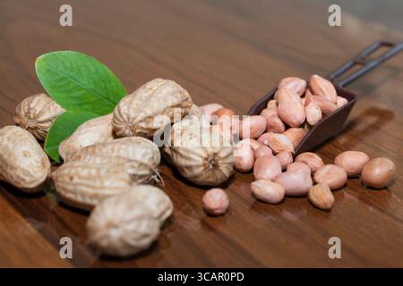 Frische Erdnüsse und Blätter in der Schüssel auf Holztisch Stockfoto