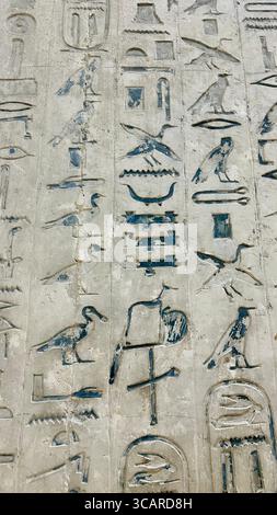 Pyramidentexte des Opferrituals sind an den Wänden der Unas-Grabkammer in Sakkara, Ägypten, eingeschrieben. Stockfoto