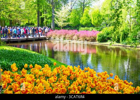 Keukenhof, Niederlande - Mai 2018: Touristen und Besucher spazieren durch bunte Tulpen in der Nähe des Flussufers im Keukenhof Park in Amsterdam, Net Stockfoto