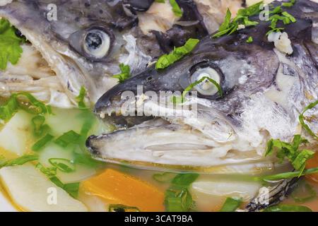 Fischsuppe wird aus den Köpfen des Lachshintergrunds Makros gebraut. Brühe mit Karotten, Reis, Kartoffeln, grünen Zwiebeln und Kräutern. Starker selektiver Fokus Stockfoto