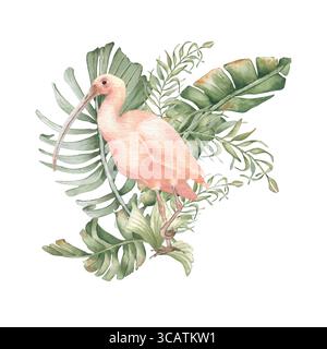 Exotischer Vogel in grünen Pflanzen Aquarell weiche Farben isoliert. Palmenwedel, üppiges Laub und rosafarbene, handgezeichnete botanische Kunst von ibis. Tropische Zeichnung für Stockfoto