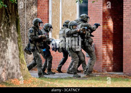 Oldenburg, Deutschland. August 2025. Sondereinheiten des niedersächsischen Sondereinsatzkommandos (SEK) stürmen ein Gebäude auf dem Gelände der Niedersächsischen Polizeiakademie, das im Rahmen einer Verhaftungsübung bewaffnet ist. Die Sondereinheiten der Landespolizei bestehen in Niedersachsen seit 50 Jahren. Die Special Task Force (SEK) und die mobile Task Force (MEK) werden eingesetzt, wenn eine bestimmte Bedrohung besteht oder spezielles Wissen erforderlich ist. Quelle: Hauke-Christian Dittrich/dpa/Alamy Live News Stockfoto