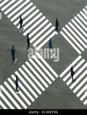 Chiyoda City, Japan - 16. November 2020: Aus der Vogelperspektive sehen Fußgänger, die lange Schatten werfen, während sie durch die scharf weißen Streifen eines geschäftigen Zebraübergangs navigieren. Stockfoto