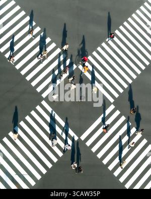Chiyoda City, Japan – 16. November 2020: Aus der Vogelperspektive sehen Fußgänger, die lange Schatten werfen, während sie sich durch die scharf weißen Streifen eines dynamischen Crosswalk bewegen. Stockfoto