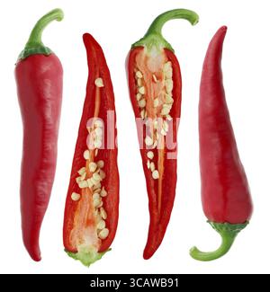 Schoten frischer roter Chilischoten - ganze und geschnittene halbe Ansicht. Isoliert auf weißem Studio-Makroset Stockfoto