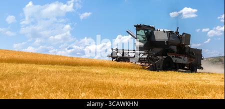 Landwirtschaftlicher Mähdrescher erntet auf einem schrägen Feld unter sonnigem Himmel mit verstreuten Wolken Goldweizen. Stockfoto