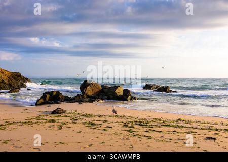 Strandlandschaft am Herbstmorgen. Felsbrocken auf dem Sand. Vögel am Himmel. Dramatisches Wetter. Samtsaison Urlaub in bulgarien Stockfoto