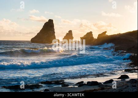 Pointe des Chateaux, Grande-Terre, Guadeloupe, Überseeregion von Frankreich, Leewards-Inseln, Kleinen Antillen, Karibik Stockfoto