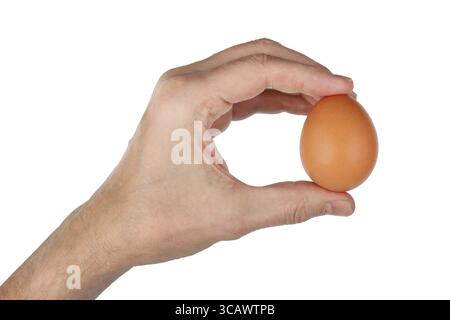Fermer man hält ein frisches rotes Hühnerei in der Hand. Isoliert auf weißes Studio-Konzept Stockfoto