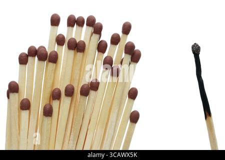 Eins gegen alle. Individualistische Kämpfe mit Gesellschaftskonzept. Holz ganz und verbrannt passt zu isoliertem Studio-Makro Stockfoto