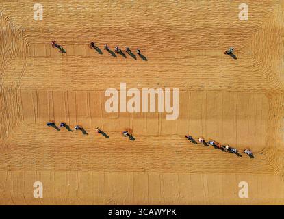 Bogura, Bangladesch - 24. Dezember 2018: Aus der Vogelperspektive verstreute Figuren in einer warmen, strukturierten Landschaft, die lineare Arbeitsmuster unter dem weiten, offenen Himmel erzeugen. Stockfoto