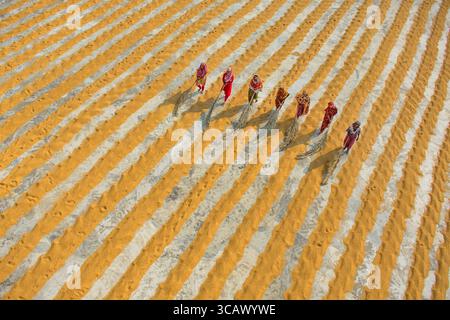 Bogura, Bangladesch - 24. Dezember 2018: Aus der Vogelperspektive von Frauen, die über weite Felder mit trocknendem Kurkuma laufen und lebendige Muster in Orange und Beige kreieren. Stockfoto