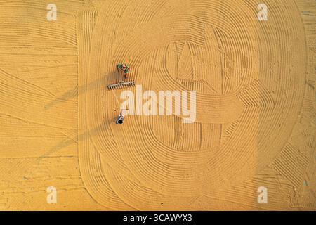 Bogura, Bangladesch - 24. Dezember 2018: Aus der Vogelperspektive eines Landwirts, der einen Traktor über das weitläufige goldene Feld führt und ein faszinierendes Muster von wirbelnden Linien hinterlässt. Stockfoto