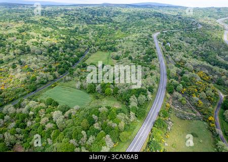 Eine Drohnenansicht auf eine Autobahn, die sich durch einen üppigen grünen Wald schlängelt. Eine gewundene Straßendrohne Stockfoto