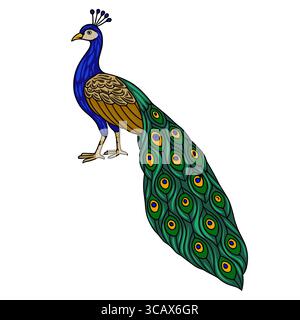 Eine lebendige Vektor-Illustration eines Pfaus, die komplexe Details im Gefieder zeigt, mit satten Blau-, Grün- und Goldtönen und einem sauberen Hintergrund Stock Vektor