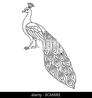 Elegante Vektor-Illustration eines Pfaus mit aufwendig detaillierten Federn, perfekt zum Ausmalen von Büchern, Textildrucken oder dekorativen Designs. Stock Vektor