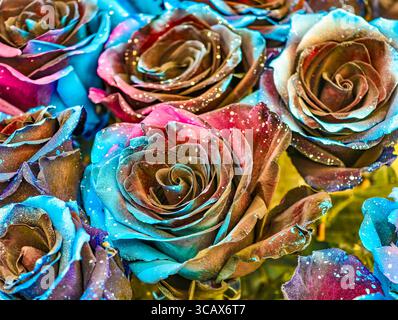 Wunderschöne, bunte Rosen mit glitzernden Akzenten. Der Exklusive Rosenhintergrund. Hochauflösende Bilder für Hintergrundbilder, soziale Medien, Marketing und kreative digitale Projekte. Stockfoto