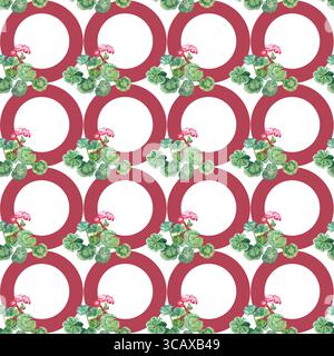 Geranienpflanze mit leuchtend rosa Blüten und grünen abgerundeten Blättern auf rotem, nahtlosem Kreismuster auf weißem Hintergrund. Handgemalte Aquarelle Stockfoto