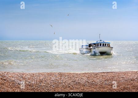 Dungeness Snack Shack, frische Fischhütte, Dungeness, Romney Marsh, Kent, England, Großbritannien Stockfoto