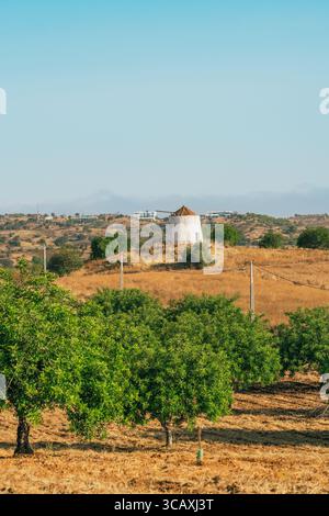 Alte Windmühle auf einem Hügel in der Algarve Stockfoto