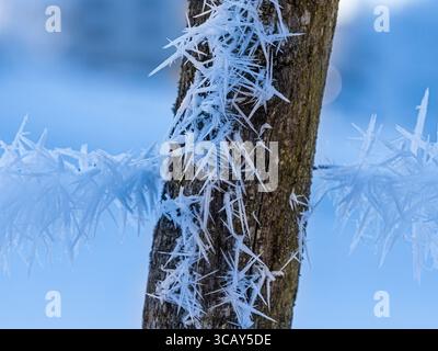 Nahaufnahme von scharfen Eiskristallen, die sich auf einem Holzpfosten und Drahtzaun in einer kalten Winterlandschaft bilden Stockfoto