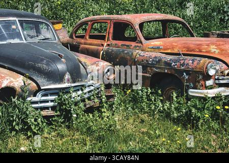 Verlassene sowjetische Oldtimer rosten auf einem überwucherten Feld Stockfoto