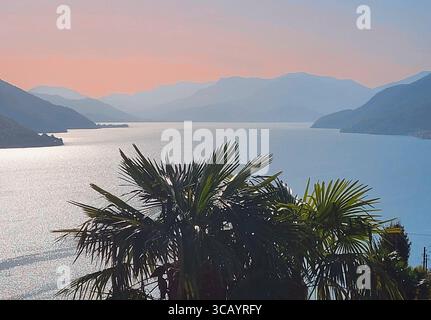 Sonnenuntergang am Lago Maggiore im Tessin, Schweiz mit Palmensilhouetten im Vordergrund, rosa Himmel mit Bergsilhouetten in Schatten Stockfoto