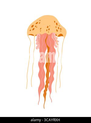 Quallen in flachem Stil isoliert auf weißem Hintergrund. Zeichentrickfilm-Marine-Tier-Vektor-Illustration Stock Vektor