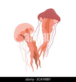 Zwei Quallen in flachem Stil isoliert auf weißem Hintergrund. Vektorillustration für Meerestiere Stock Vektor