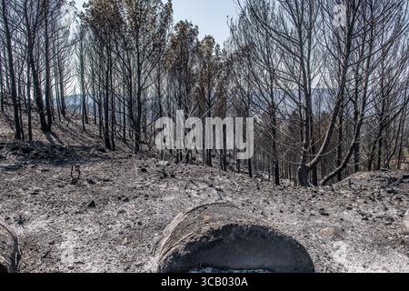 Frankreich. März 2018. Nach dem Großbrand in den Corbières, Aude, Frankreich am 7. August 2025. Ein Waldbrand im Departement Aude in Südfrankreich. Dieser seit Jahren größte Waldbrand Frankreichs verwüstete 16.000 Hektar Vegetation und Kiefernwald, zerstörte oder beschädigte 25 Häuser und verbrannte 35 Fahrzeuge. Foto: Romain Bastard/Pixnfly/ABACAPRESS.COM Credit: Abaca Press/Alamy Live News Stockfoto