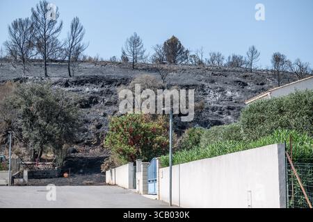 Frankreich. März 2018. Nach dem Großbrand in den Corbières, Aude, Frankreich am 7. August 2025. Ein Waldbrand im Departement Aude in Südfrankreich. Dieser seit Jahren größte Waldbrand Frankreichs verwüstete 16.000 Hektar Vegetation und Kiefernwald, zerstörte oder beschädigte 25 Häuser und verbrannte 35 Fahrzeuge. Foto: Romain Bastard/Pixnfly/ABACAPRESS.COM Credit: Abaca Press/Alamy Live News Stockfoto