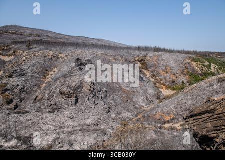 Frankreich. März 2018. Nach dem Großbrand in den Corbières, Aude, Frankreich am 7. August 2025. Ein Waldbrand im Departement Aude in Südfrankreich. Dieser seit Jahren größte Waldbrand Frankreichs verwüstete 16.000 Hektar Vegetation und Kiefernwald, zerstörte oder beschädigte 25 Häuser und verbrannte 35 Fahrzeuge. Foto: Romain Bastard/Pixnfly/ABACAPRESS.COM Credit: Abaca Press/Alamy Live News Stockfoto