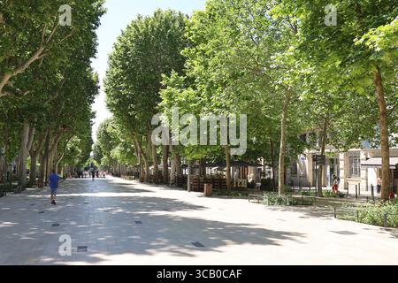 Paul Riquet Path, ein Fußgängerweg gesäumt von Bäumen, Stadt Béziers, Departement Hérault, Frankreich Stockfoto