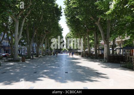 Paul Riquet Path, ein Fußgängerweg gesäumt von Bäumen, Stadt Béziers, Departement Hérault, Frankreich Stockfoto