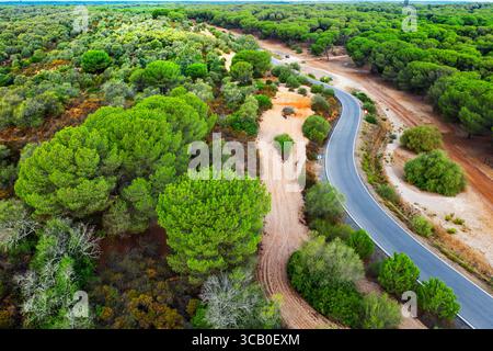 21. September 2022, Sevilla, Spanien: Aus der Vogelperspektive von Dehesa de Abajo, La Puebla del RÃ­o, Donana Nationalpark Sevilla Spanien...das konzertierte Naturschutzgebiet Dehesa de Abajo ist die Kontaktzone zwischen den südlichsten Ländern der Region Aljarafe und den Marschgebieten von Guadalquivir. Durch die Kombination von mediterranen Wäldern und Sumpfgebieten ist der botanische Reichtum und die Fauna sehr groß. Im Naturschutzgebiet und in seiner Umgebung gibt es sehr geeignete Wege zum Wandern, Radfahren oder Reiten. In seiner Landschaft stechen Lagunen wie La Rianzuela hervor, die von reinem Gestrüpp, Pinien und großen umgeben ist Stockfoto