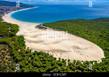 28. September 2022, Cadiz, Spanien: Luftaufnahme des Dünenstrands Duna de Bolonia, Costa de la Luz, Provinz Cadiz, Andalusien, Südspanien. ..die Dünen von Bolonia und Valdevaqueros sind ein klares Beispiel für mobile Dünen. Diese stammen aus sedimentären Ansammlungen an der Küste aufgrund lokaler Tektonik. Beide Dünen haben gemeinsam ihre allmähliche und kontinuierliche Ausdehnung über den Kiefernwald, die sich im Inneren des Strandes befinden, in der Nähe von Straßen, vergrabenen Telefonkabeln. Diese Dünen sind große Sandflächen mit konstanter Neigung zum Wind. Sie dringen in Ökosysteme von Buschwerk und Kiefernwäldern ein Stockfoto