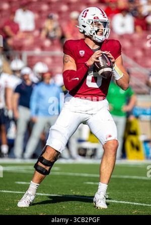 23. September 2023 Palo Alto, CA USA Stanford Quarterback Justin Lamson (8) sucht nach dem kurzen Pass während des NCAA Football-Spiels zwischen den Arizona Wildcats und dem Stanford Cardinal. Arizona besiegt Stanford 21-20 im Stanford Stadium Palo Alto, CA Thurman James / CSM (Foto: © Thurman James/CSM via ZUMA Press Wire) Stockfoto