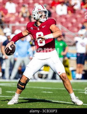 23. September 2023 Palo Alto, CA USA Stanford Quarterback Justin Lamson (8) sucht während des NCAA Football-Spiels zwischen den Arizona Wildcats und dem Stanford Cardinal nach dem tiefen Pass. Arizona besiegt Stanford 21-20 im Stanford Stadium Palo Alto, CA Thurman James / CSM (Foto: © Thurman James/CSM via ZUMA Press Wire) Stockfoto