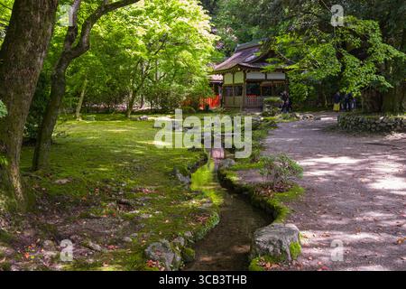 Friedlicher japanischer Garten mit üppigem Grün und einem traditionellen Holzpavillon. Ein kleiner Bach schlängelt sich durch und schafft einen ruhigen, natürlichen Ambi Stockfoto