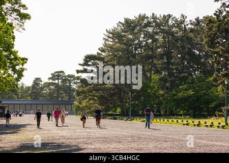 Eine Gruppe von Menschen genießt einen gemütlichen Spaziergang in einem großen Park mit hohen grünen Bäumen unter klarem, sonnigem Himmel in Kyoto, Japan Stockfoto